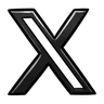 X (Twitter)